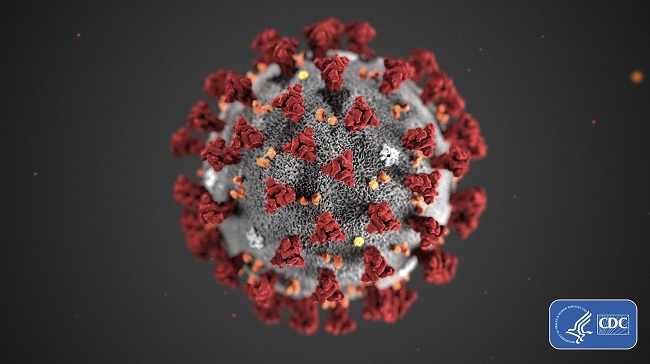 Hình ảnh minh họa virus SARS-CoV-2 gây bệnh viêm đường hô hấp cấp COVID-19. Ảnh: AFP/TTXVN