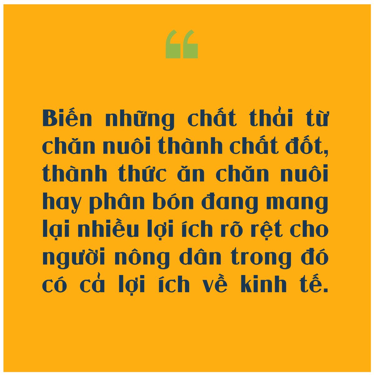 Thay đổi ‘triết lý’ chăn nuôi cùng nông nghiệp tuần hoàn ảnh 4