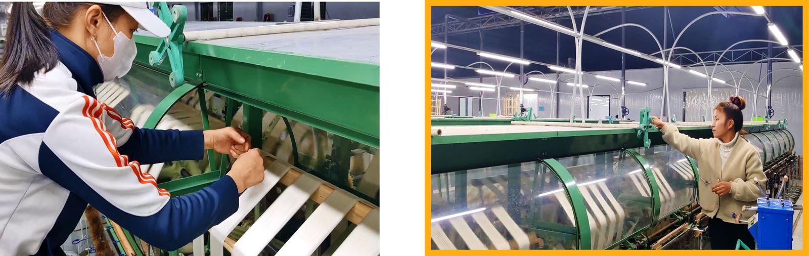 Thay đổi ‘triết lý’ chăn nuôi cùng nông nghiệp tuần hoàn ảnh 10