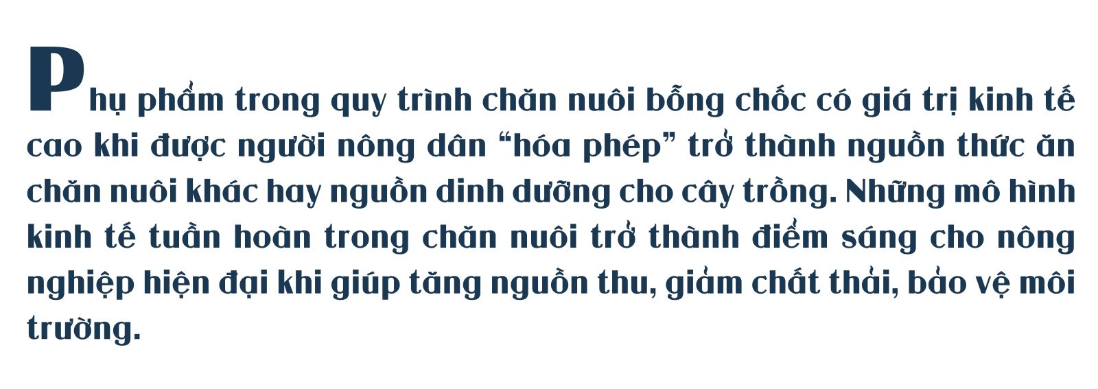 Thay đổi ‘triết lý’ chăn nuôi cùng nông nghiệp tuần hoàn ảnh 1