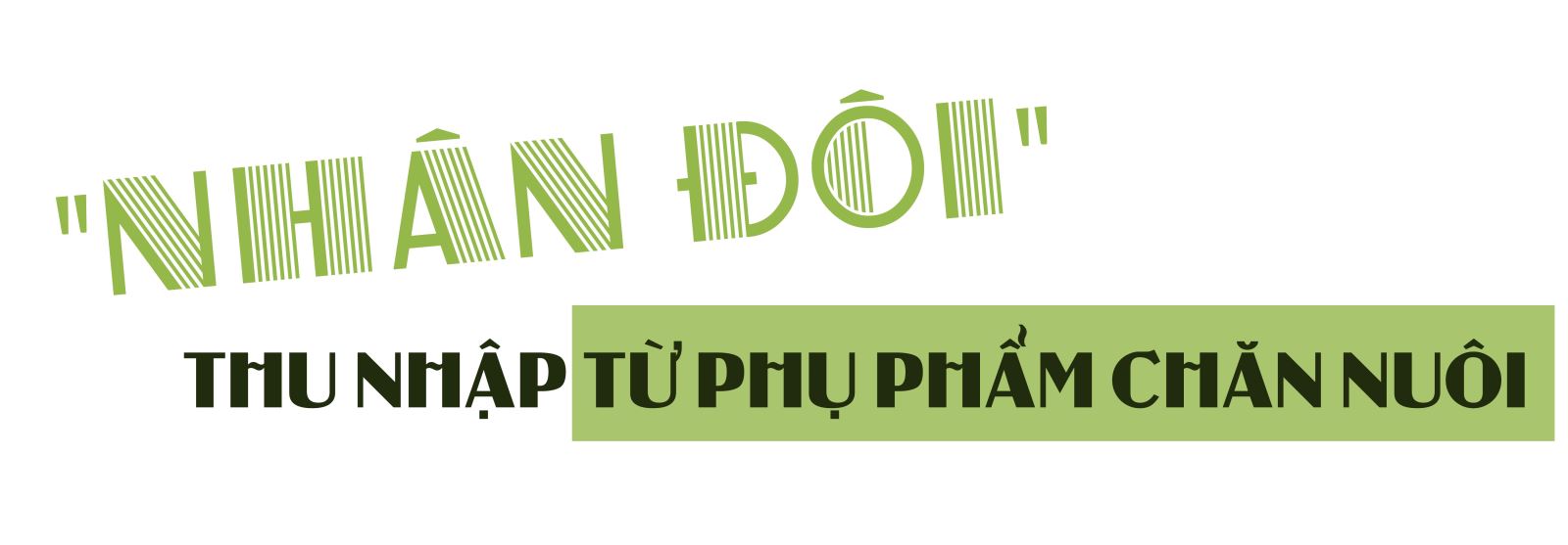Thay đổi ‘triết lý’ chăn nuôi cùng nông nghiệp tuần hoàn ảnh 2