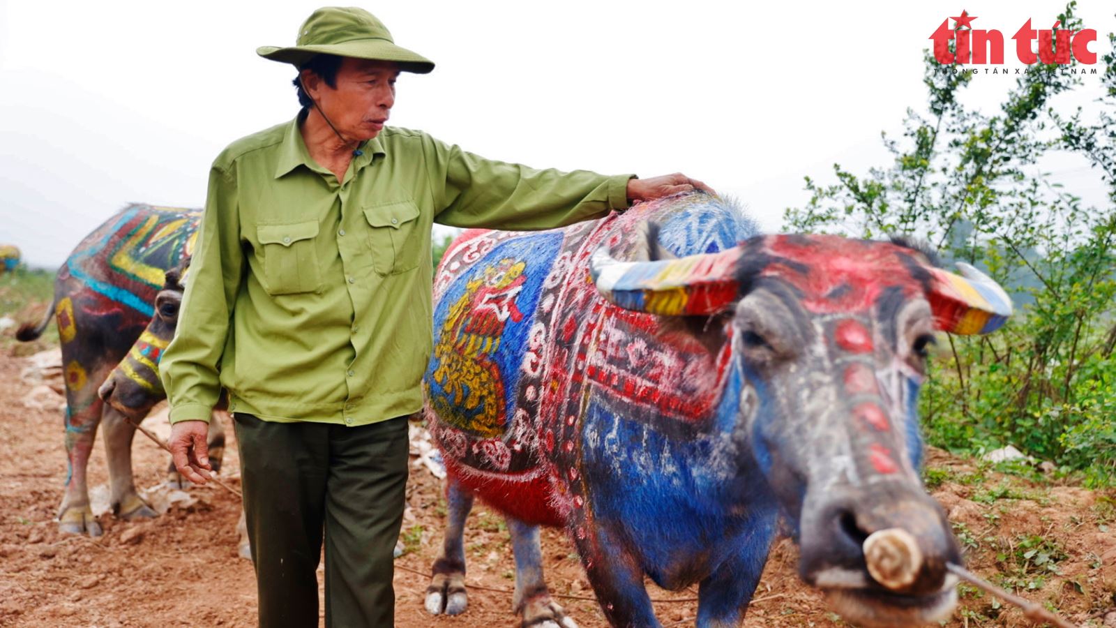 Chú thích ảnh