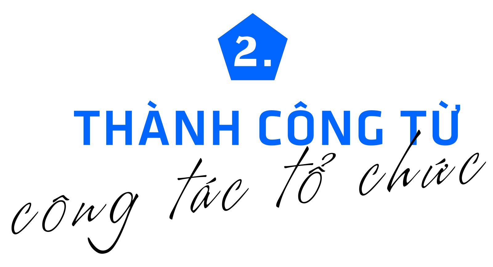 Những điểm nhấn của EURO 2024 ảnh 7