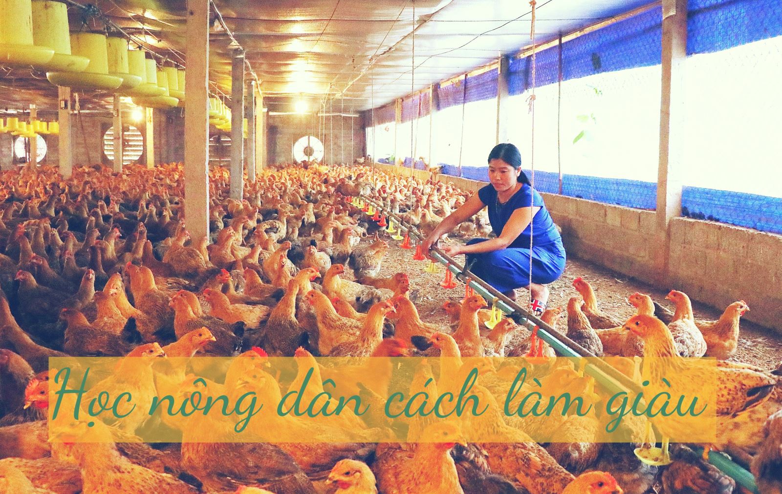 Đời sống nhân dân cải thiện ảnh 8