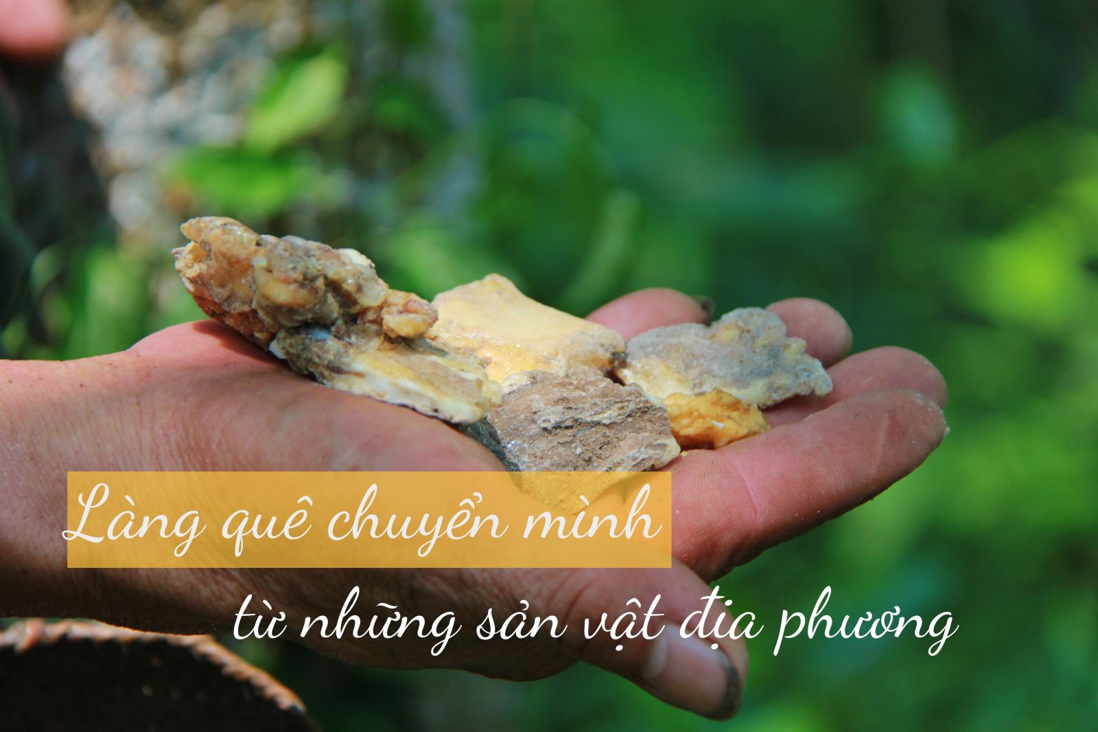 Đời sống nhân dân cải thiện ảnh 15