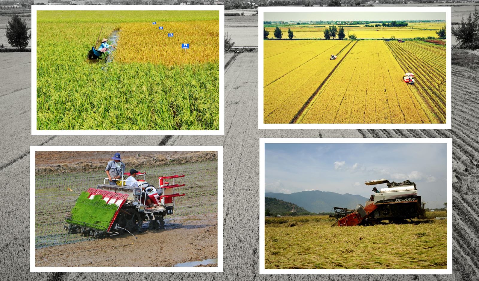 Cơ giới hóa nông thôn, sản xuất lớn gắn với công nghệ cao là hướng phát triển kinh tế, xây dựng NTM.