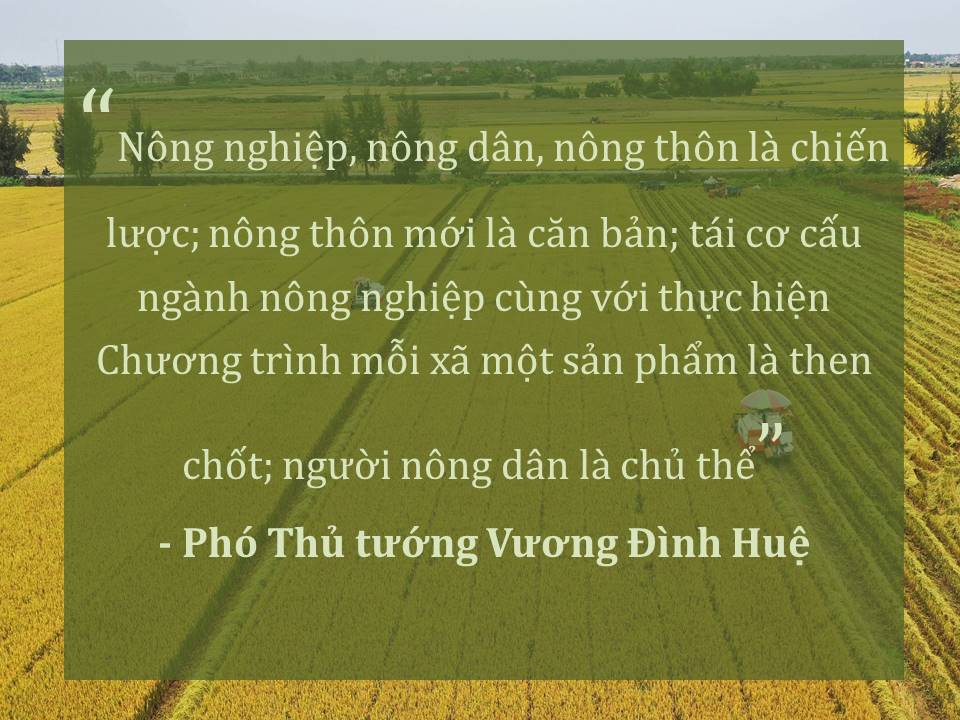 Đời sống nhân dân cải thiện ảnh 9