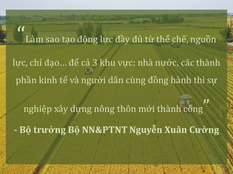 Đời sống nhân dân cải thiện ảnh 11