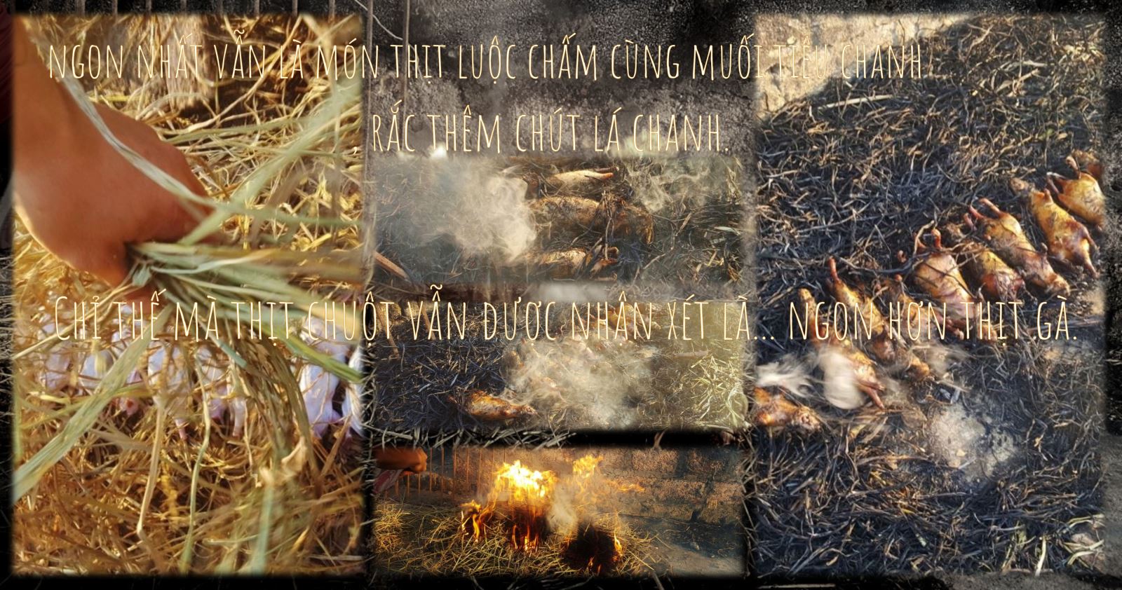 Nghệ thuật săn bắt chuột đồng ảnh 10