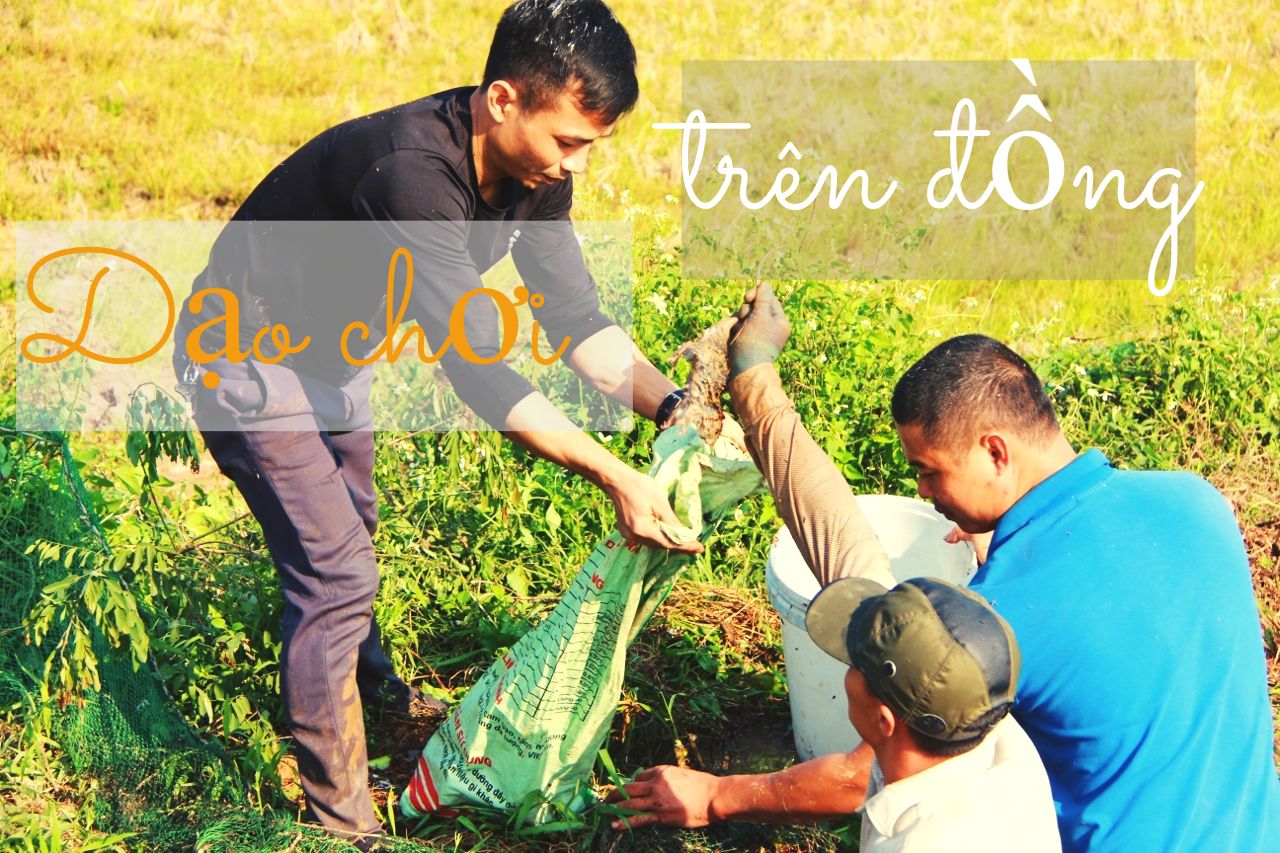 Nghệ thuật săn bắt chuột đồng ảnh 1
