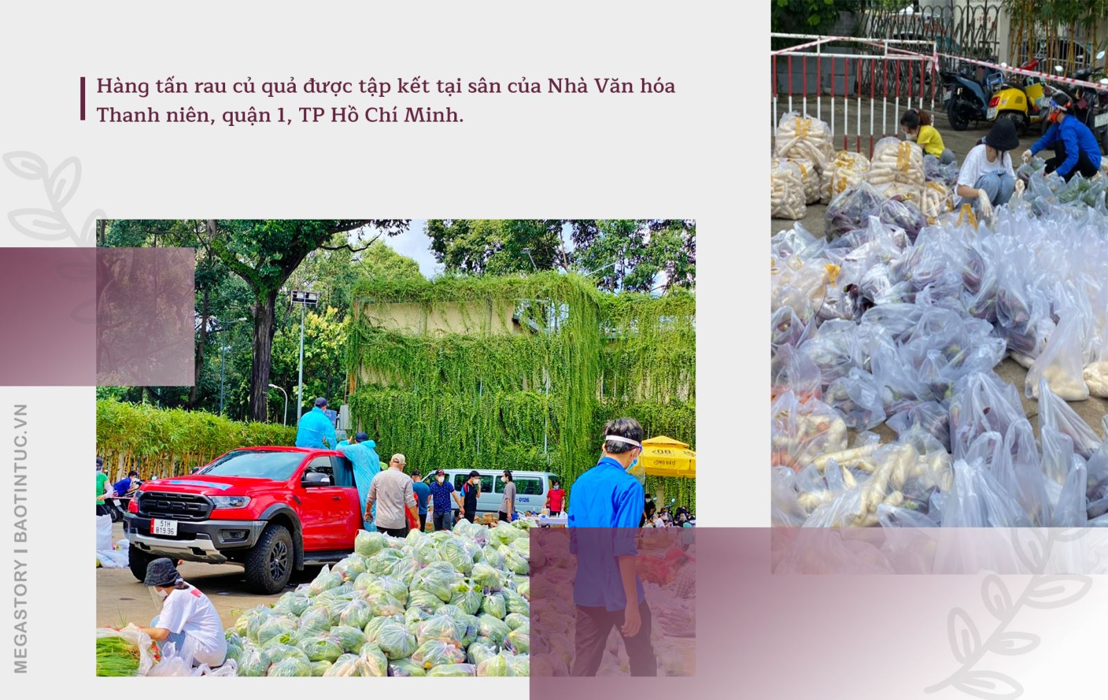 Cô ca sỹ rời Thủ đô vào Nam chống dịch ảnh 3