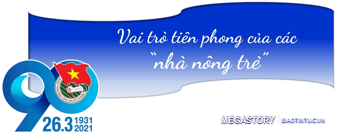 Thanh niên xung kích trên 'mặt trận' nông thôn mới ảnh 2
