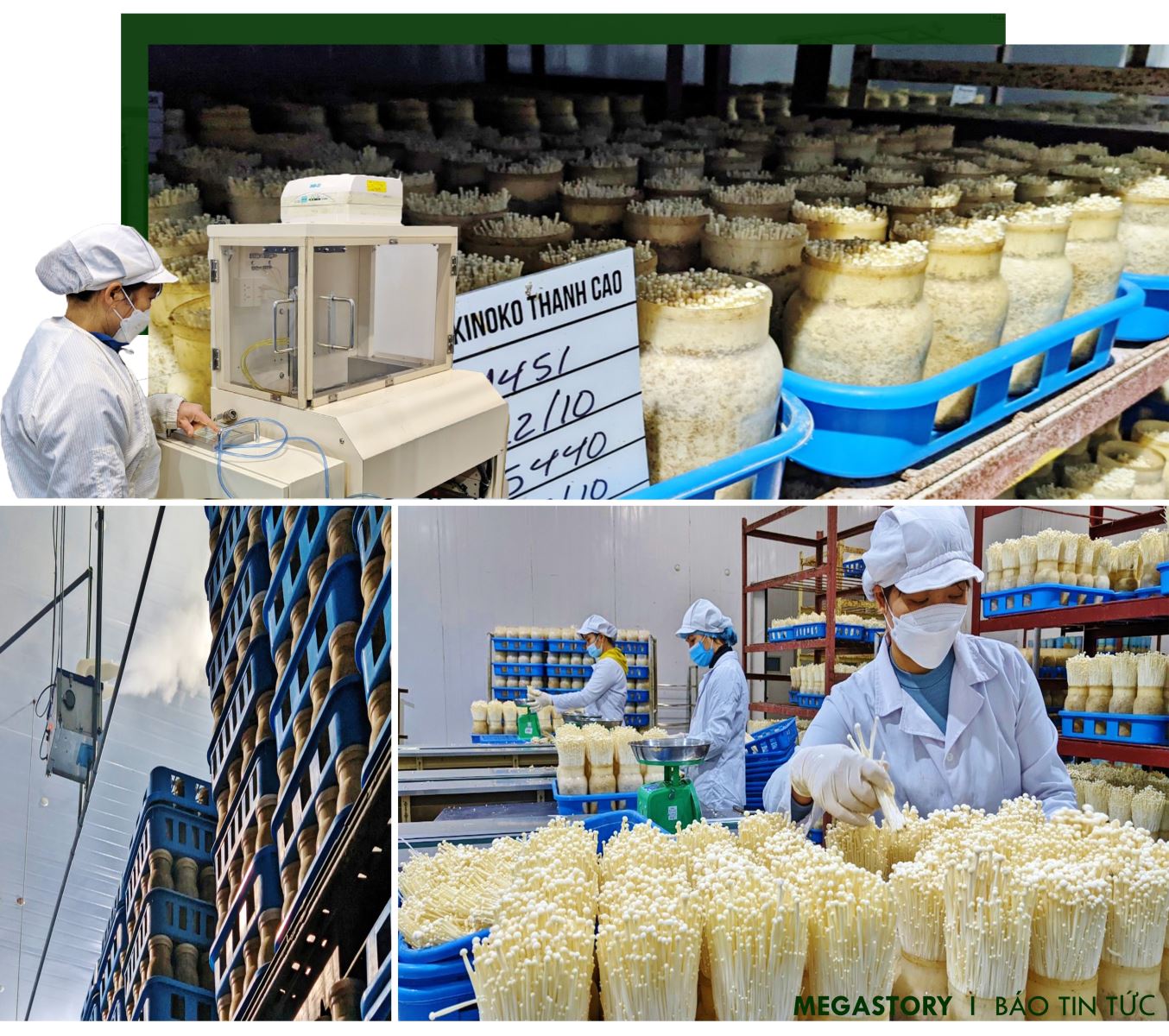 Khi nông dân bắt nhịp với công nghệ ảnh 2