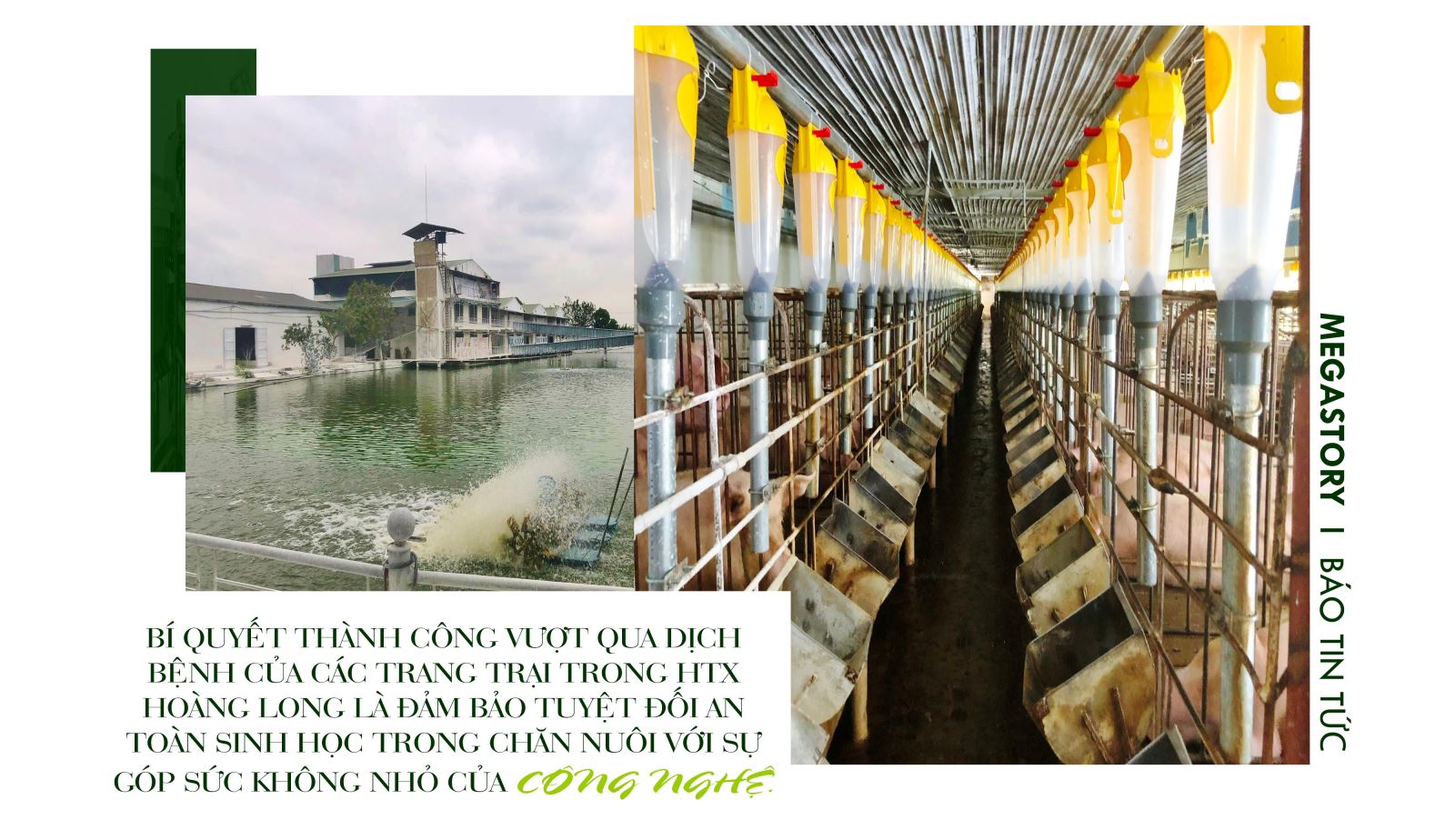 Khi nông dân bắt nhịp với công nghệ ảnh 5