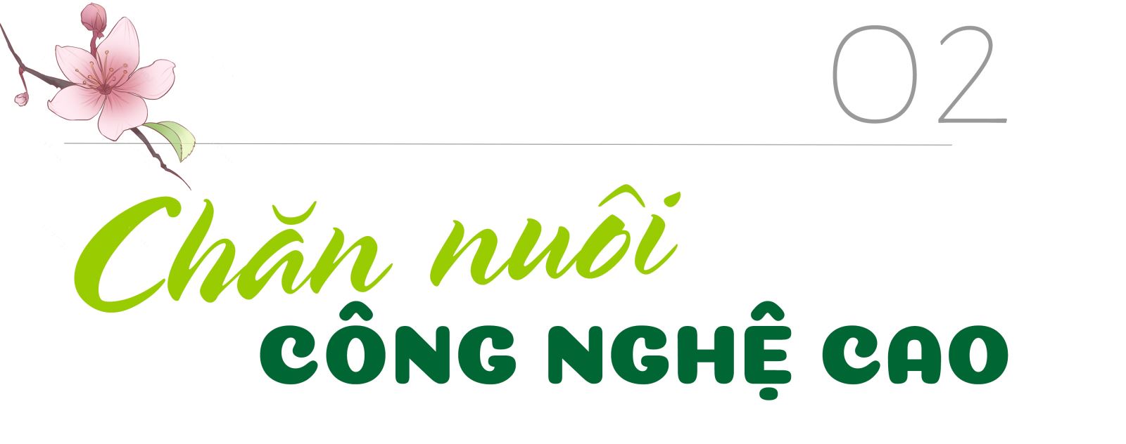 Khi nông dân bắt nhịp với công nghệ ảnh 4