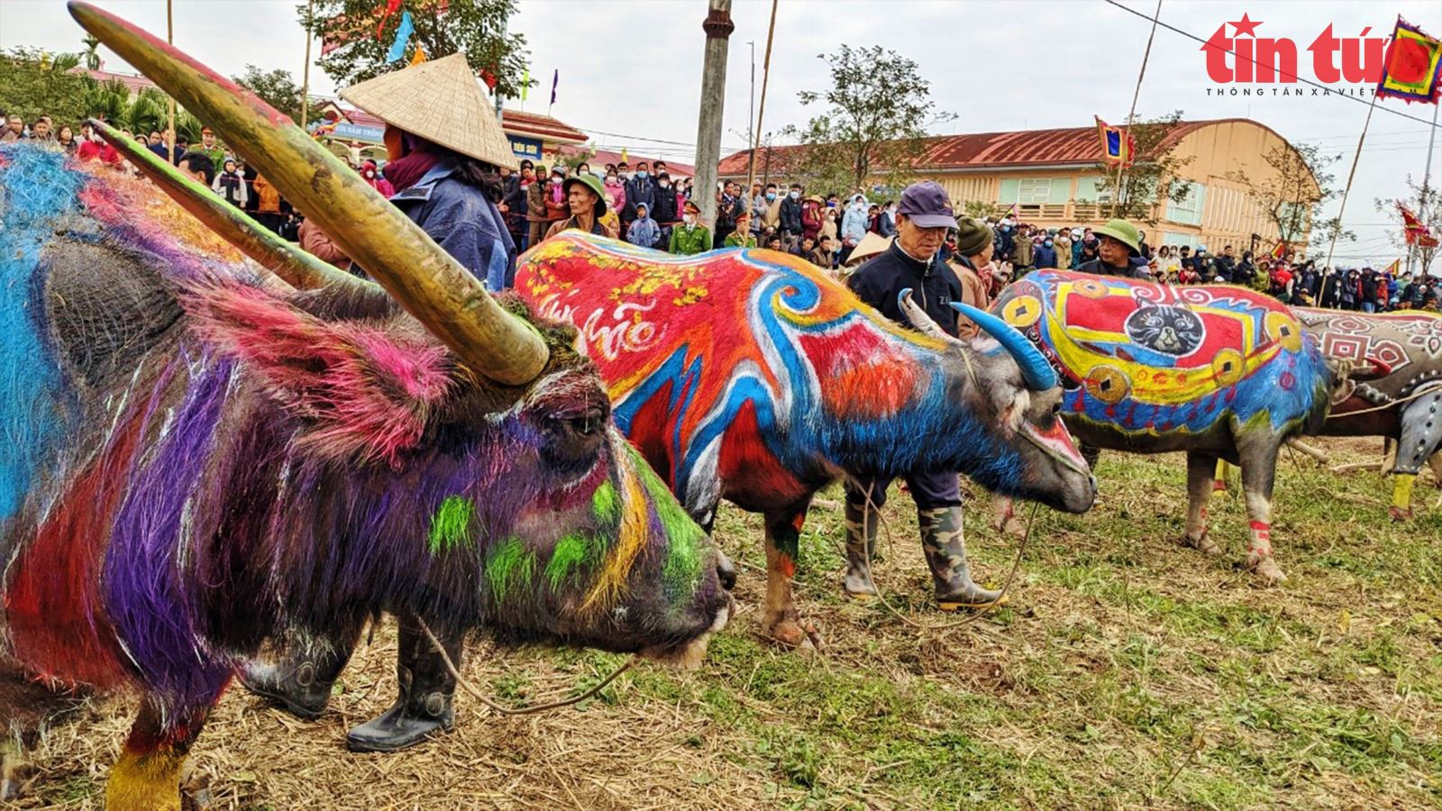 Chú thích ảnh