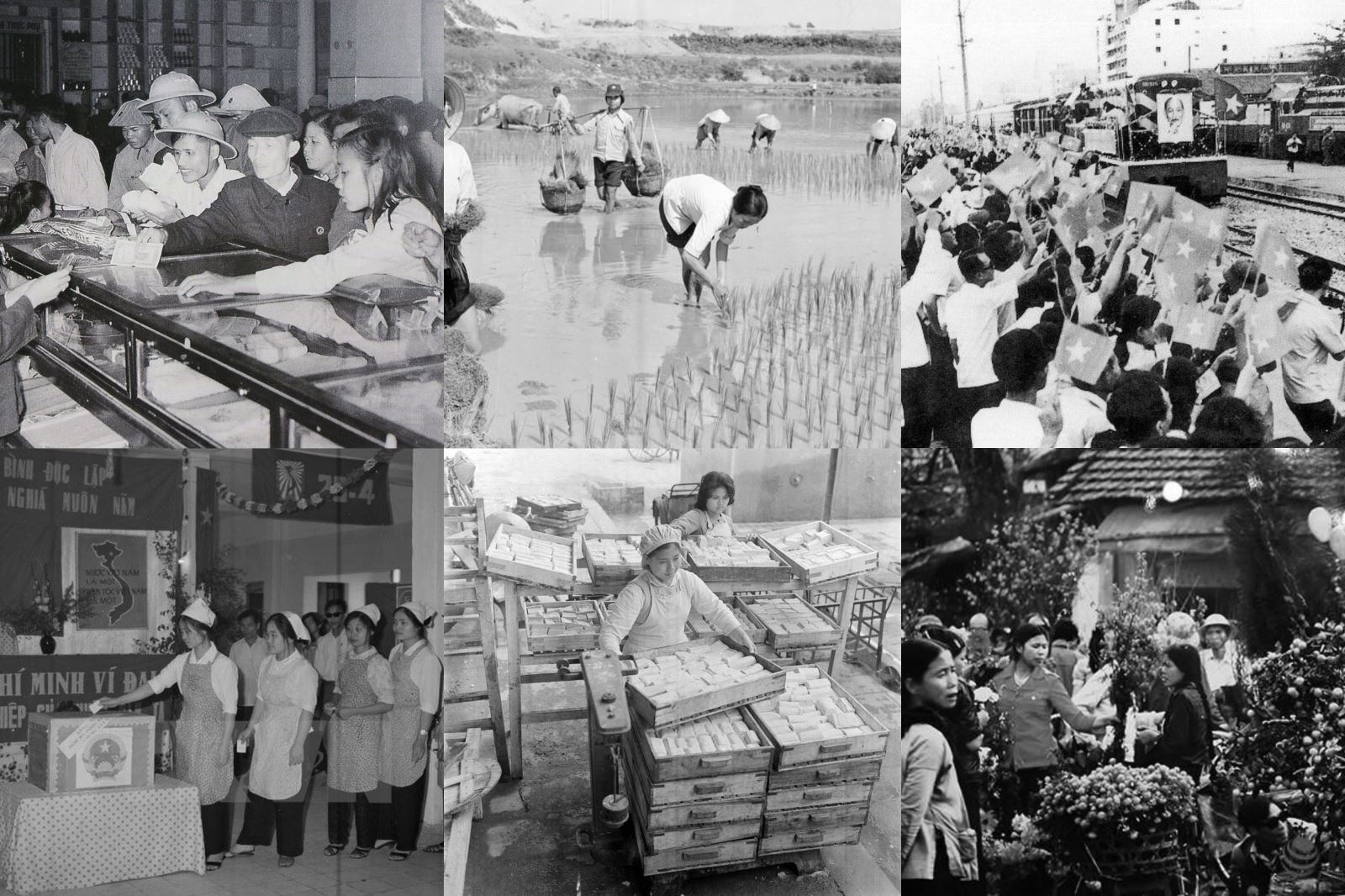 Đổi mới - Đổi đời nhờ Đảng dẫn đường ảnh 3
