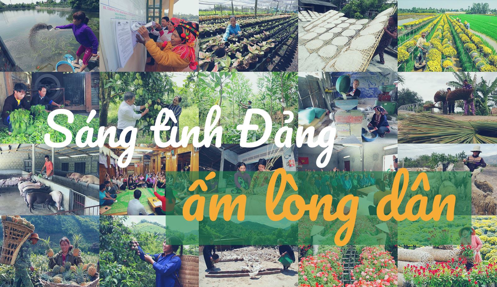 Sáng tình Đảng, ấm lòng dân