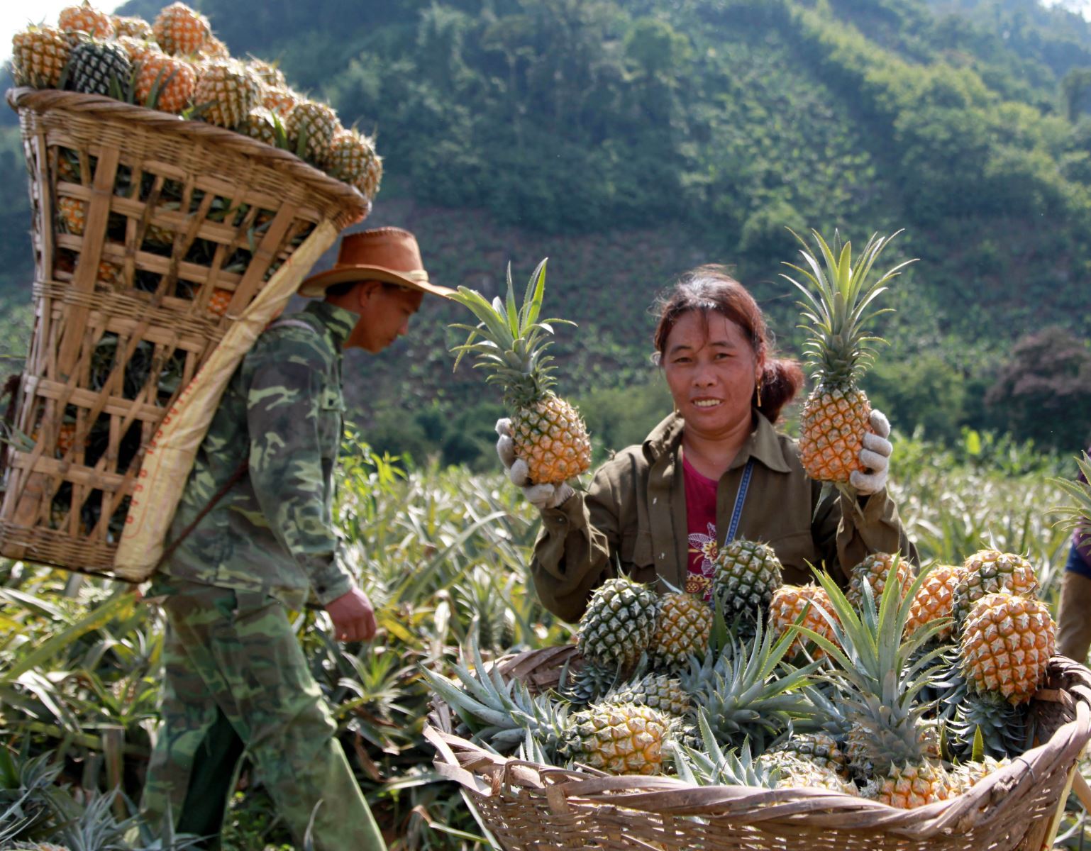 Niềm vui của đồng bào DTTS ở huyện nghèo Si Ma Cai nói riêng, tỉnh Lào Cai nói chung khi được Đảng, Nhà nước quan tâm cho vay vốn, tạo sinh kế bền vững.