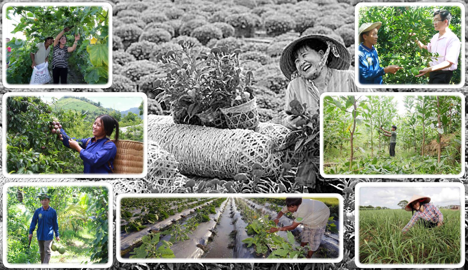 Tín dụng chính sách xã hội có vai trò quan trọng, làm đòn bẩy tài chính trong phát triển kinh tế - xã hội, giảm nghèo tại địa phương.