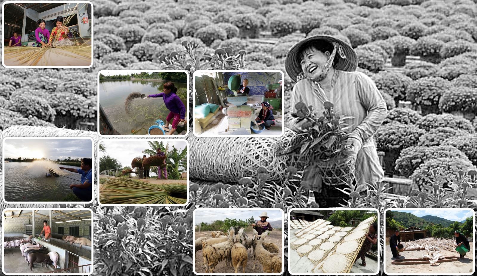 Chính sách tín dụng, nâng cao mức vay không chỉ là tạo điều kiện cho một nhóm đối tượng bà con còn khó khăn để thoát nghèo, vươn lên, mà còn tạo ra “sinh khí” mới, năng lượng mới, niềm tin mới của những người dân.