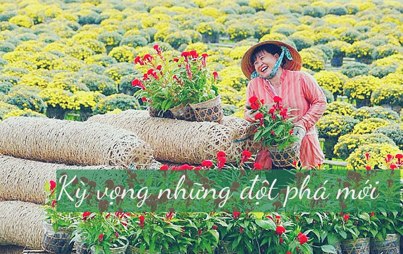 Sáng tình Đảng, ấm lòng dân ảnh 15