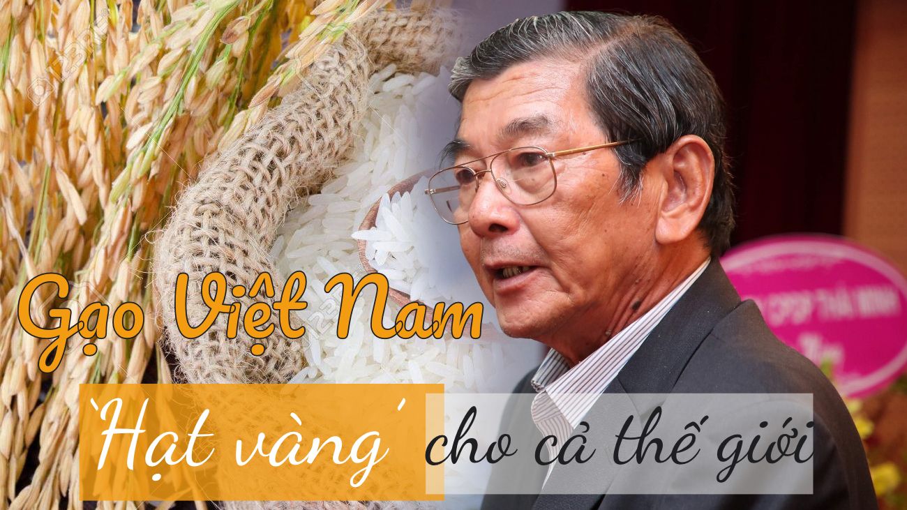Gạo Việt Nam - 'Hạt vàng' cho cả thế giới
