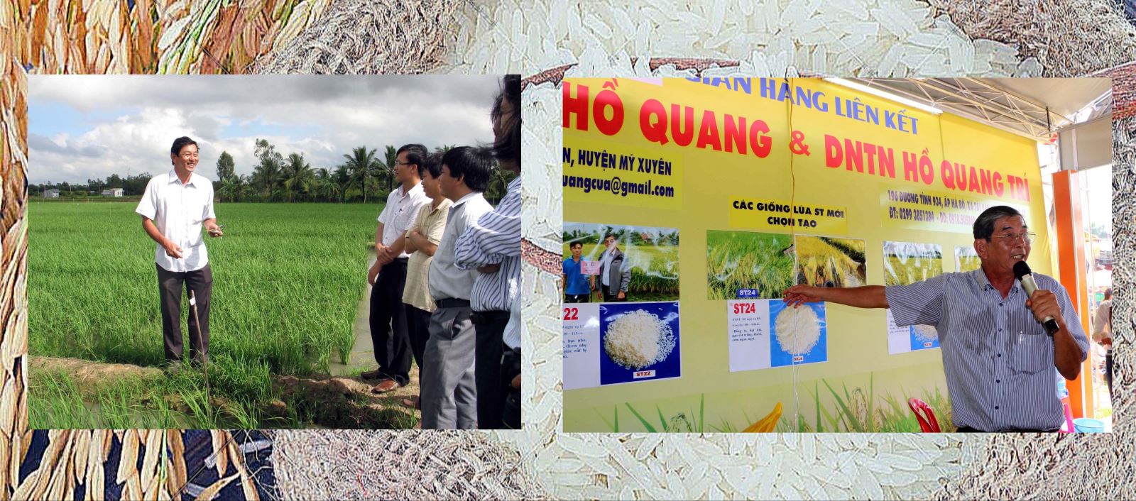 Từ những “phòng thí nghiệm” ngay trên đồng ruộng, kỹ sư Hồ Quang Cua đã đưa hạt gạo Việt trở thành hạt gạo ngon nhất thế giới bằng những bước đi bài bản.