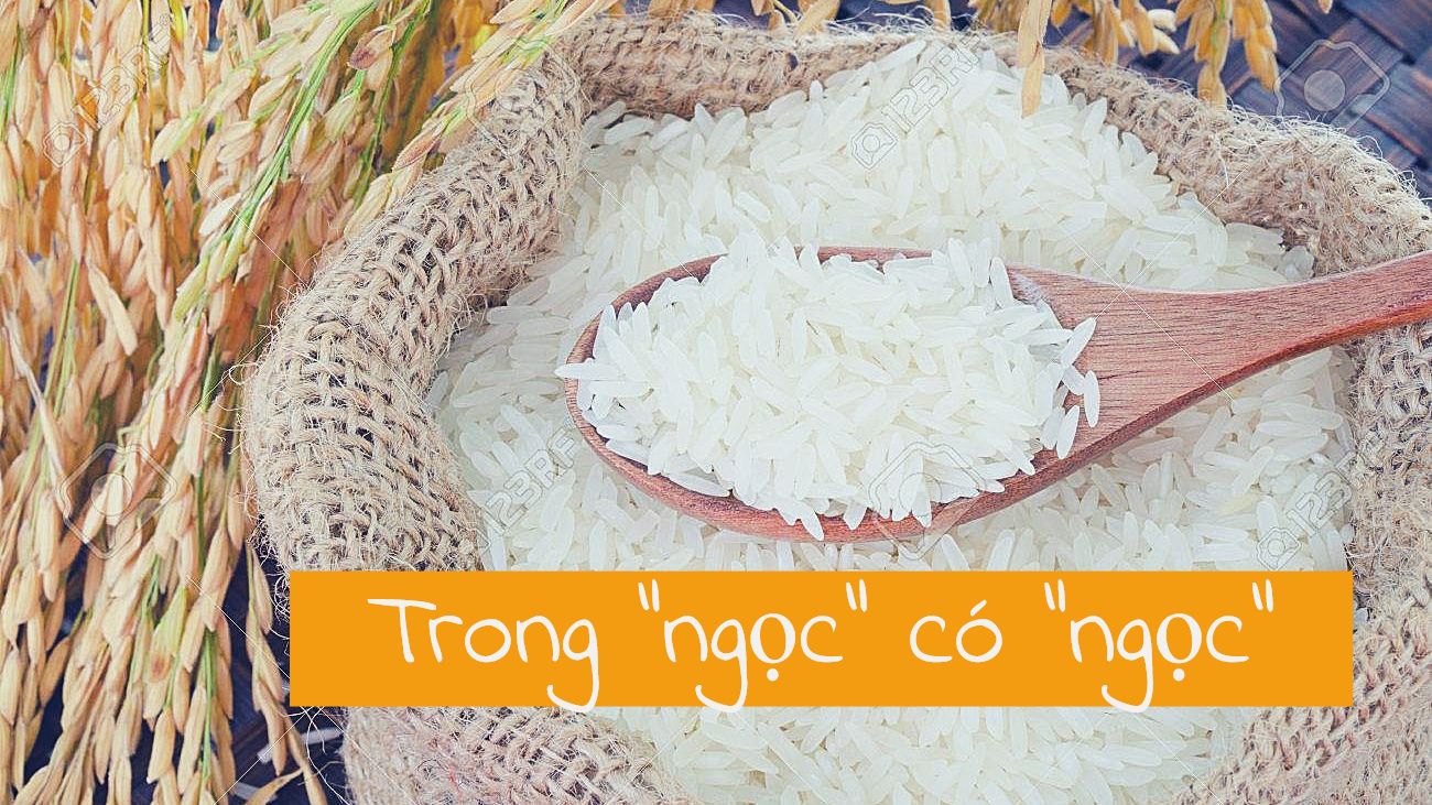 Gạo Việt Nam - 'Hạt vàng' cho cả thế giới ảnh 10 Gạo Việt Nam - 'Hạt vàng' cho cả thế giới ảnh 10