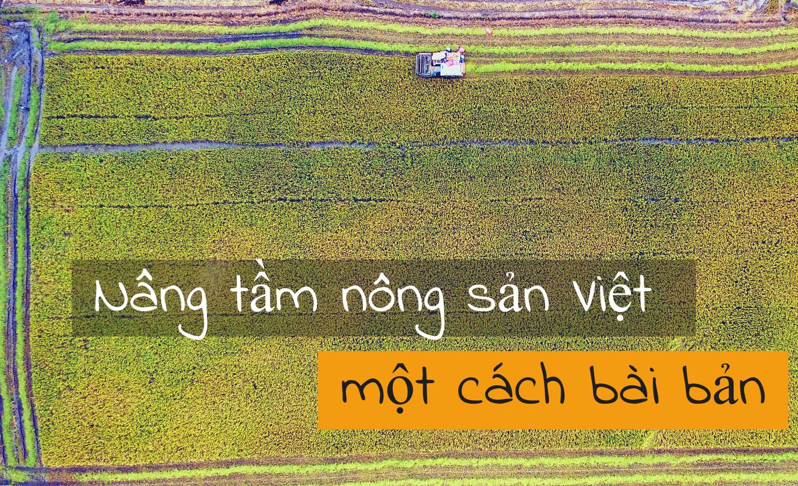 Gạo Việt Nam - 'Hạt vàng' cho cả thế giới ảnh 13 Gạo Việt Nam - 'Hạt vàng' cho cả thế giới ảnh 13