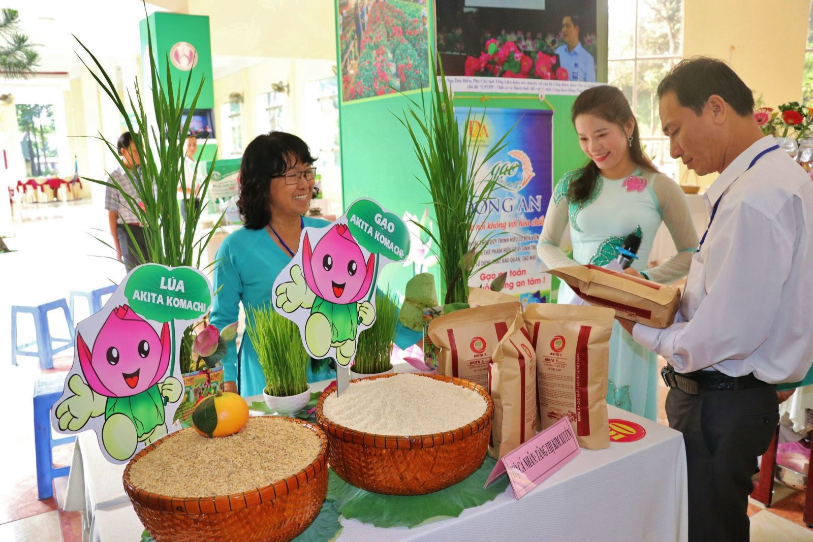 Trưng bày các sản phẩm gạo dự Hội thi “Gạo ngon Đồng Tháp năm 2019".