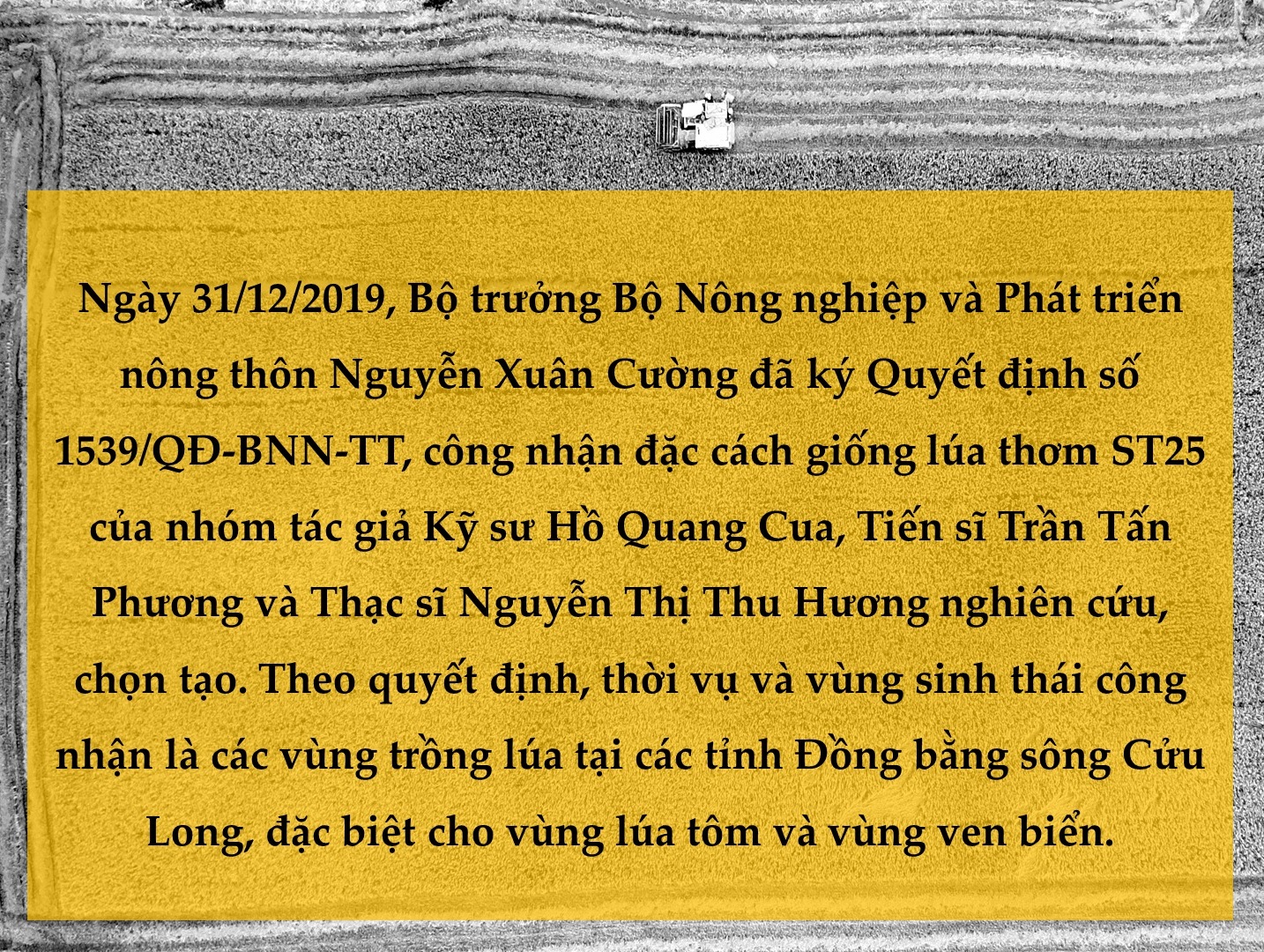 Gạo Việt Nam - 'Hạt vàng' cho cả thế giới ảnh 16 Gạo Việt Nam - 'Hạt vàng' cho cả thế giới ảnh 16
