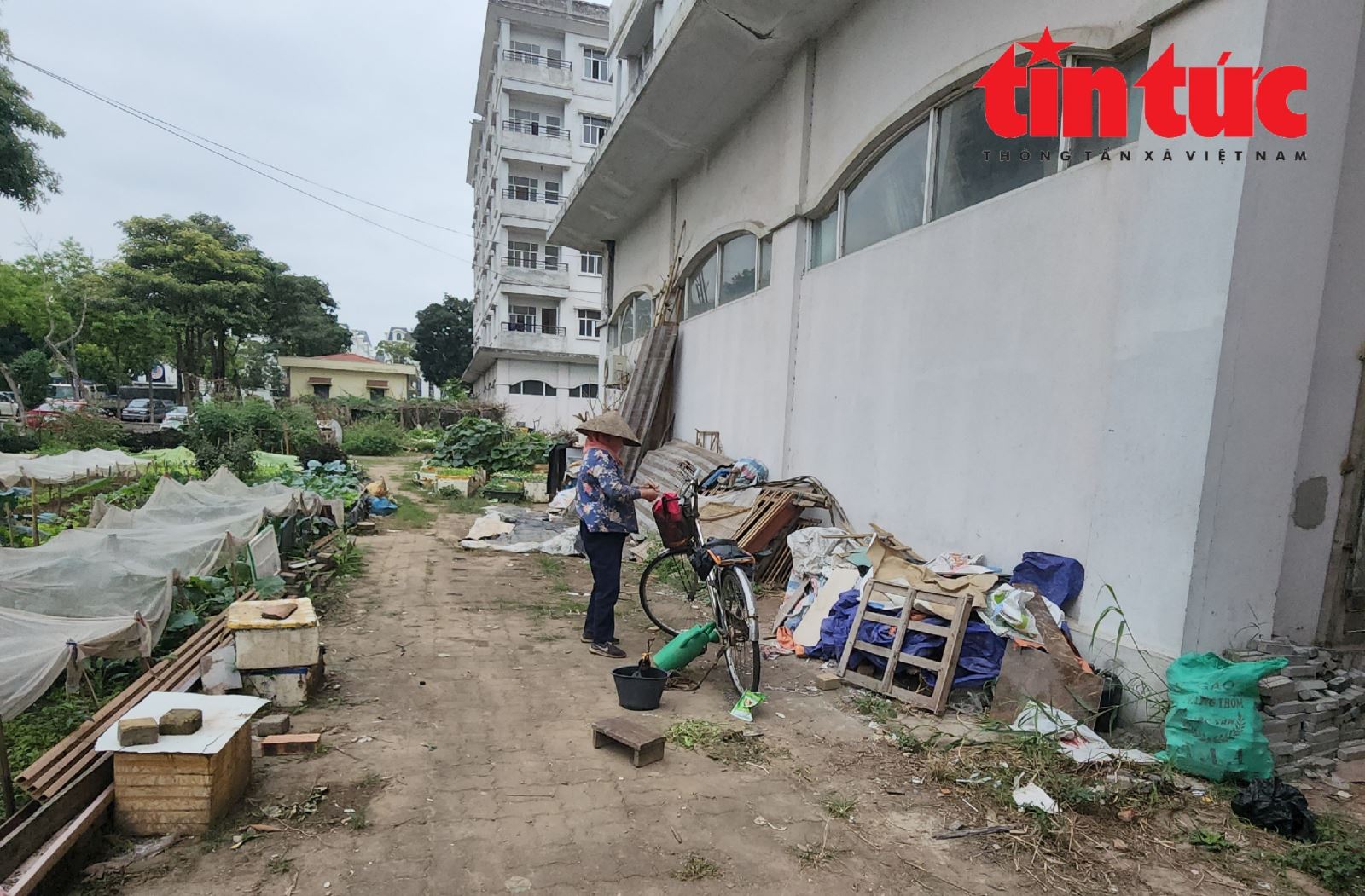 Chú thích ảnh