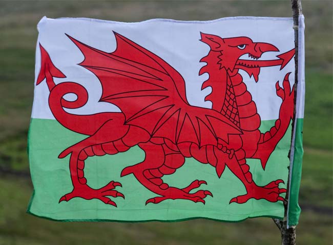 Biểu tượng rồng trên Quốc kỳ xứ Wales. Ảnh: Getty Images