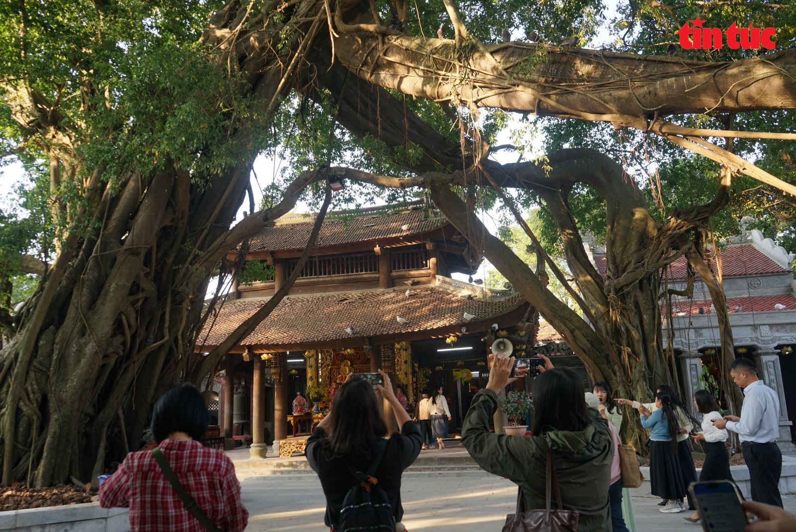 Chú thích ảnh