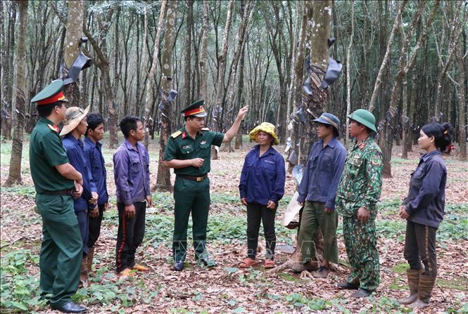 Chú thích ảnh