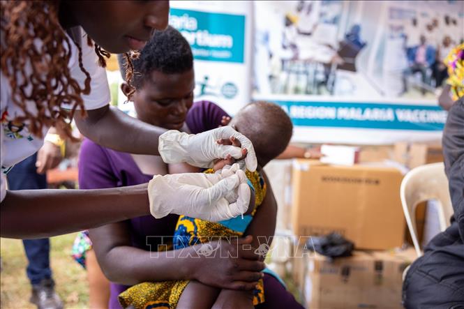 Hơn nửa triệu trẻ em châu Phi tử vong hằng năm do thiếu vaccine