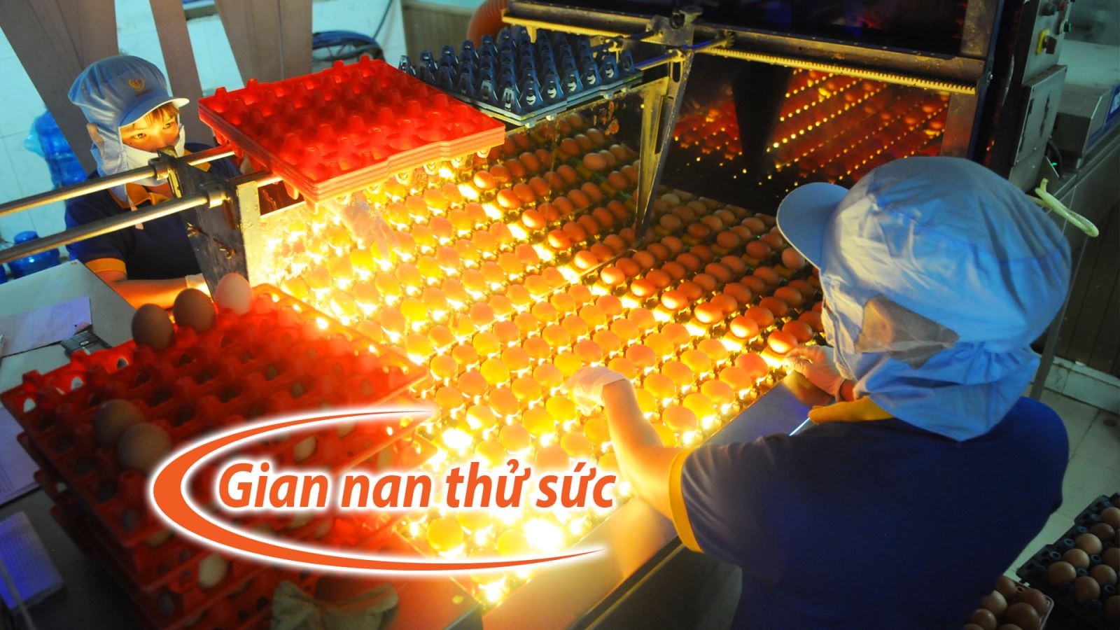 Phạm Thị Huân - ‘Nữ hoàng’ trứng gia cầm Việt ảnh 6