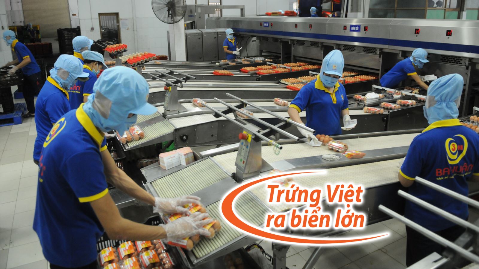 Trứng được qua hệ thống chiếu tia khử trùng.