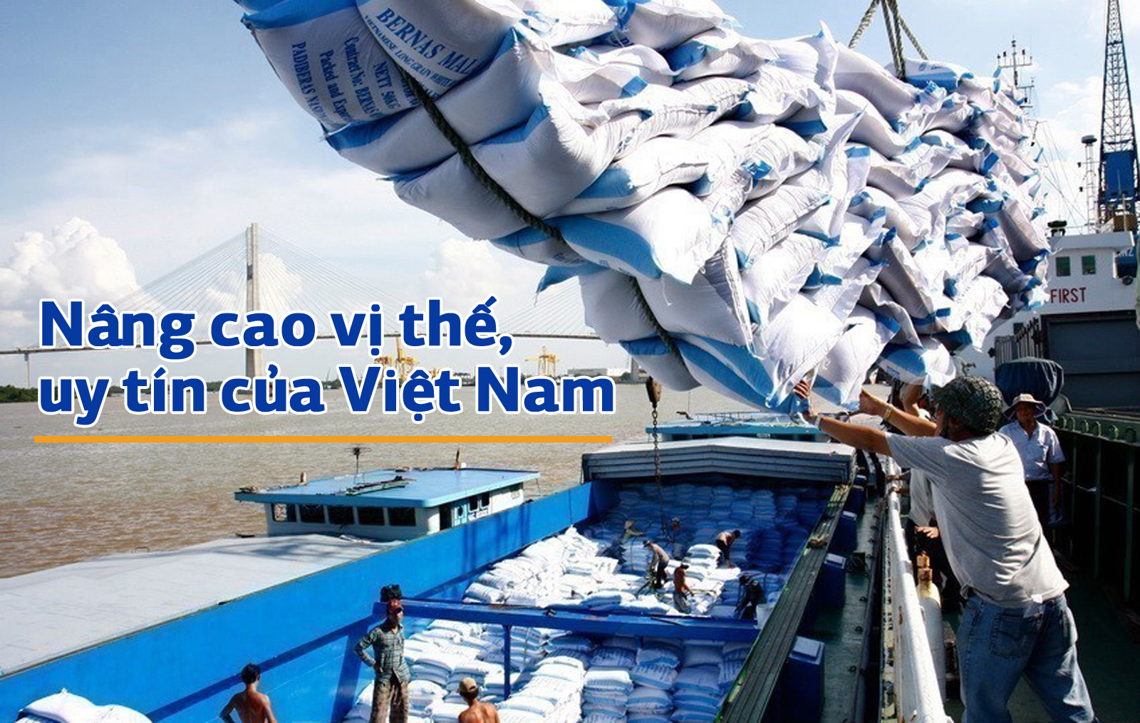 Với việc EVFTA được thông qua, EU dành cho Việt Nam một hạn mức 80.000 tấn gạo mỗi năm với mức thuế 0%, xuất khẩu gạo vào EU có thể tăng gấp 4 lần. Ảnh: TTXVN
