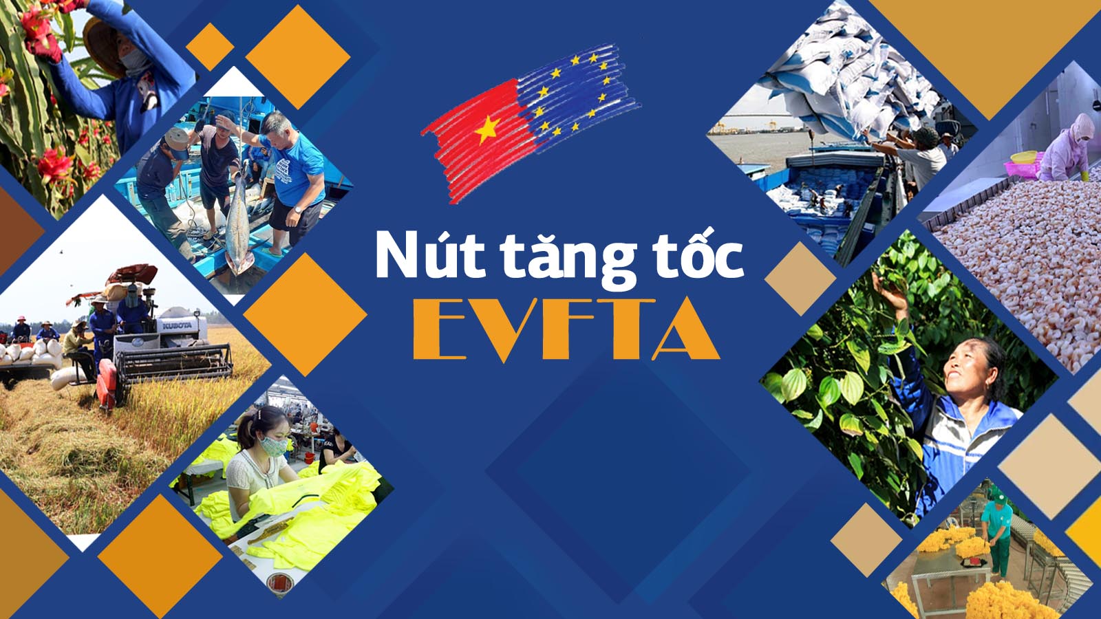 Nút tăng tốc EVFTA