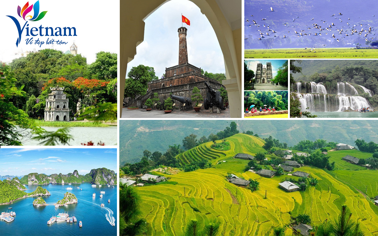 Du lịch nội địa 'lên ngôi' ảnh 4