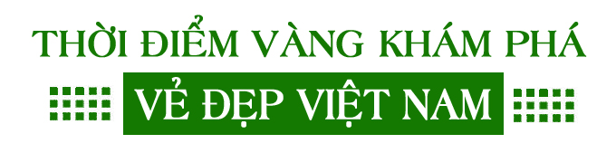 Du lịch nội địa 'lên ngôi' ảnh 1