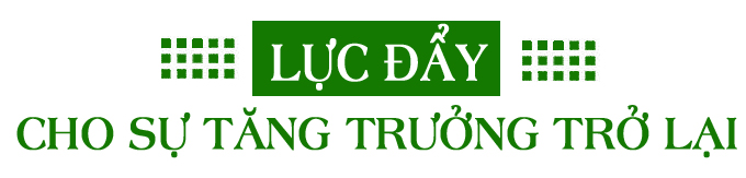 Du lịch nội địa 'lên ngôi' ảnh 9