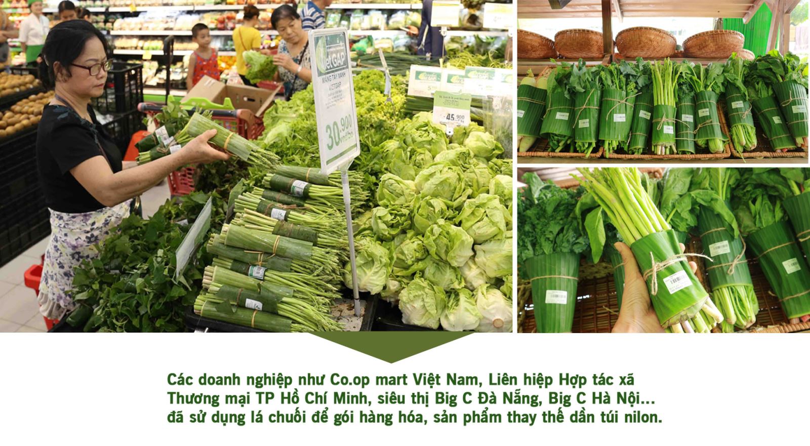 Rác thải nhựa: Tiện 1 phút, hại nghìn năm ảnh 10