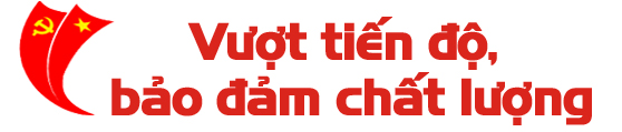 Đại hội đảng bộ cấp trên cơ sở&nbsp;và những bài học kinh nghiệm ảnh 1
