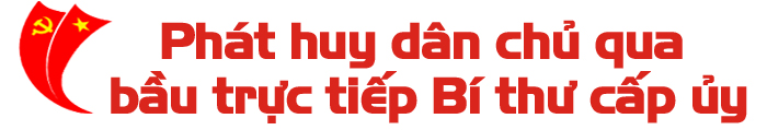 Đại hội đảng bộ cấp trên cơ sở&nbsp;và những bài học kinh nghiệm ảnh 7