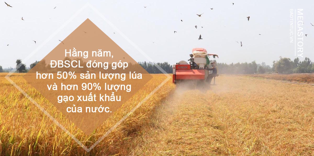 'Sống chung’ với hạn hán, xâm nhập mặn ảnh 3