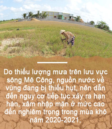 'Sống chung’ với hạn hán, xâm nhập mặn ảnh 4
