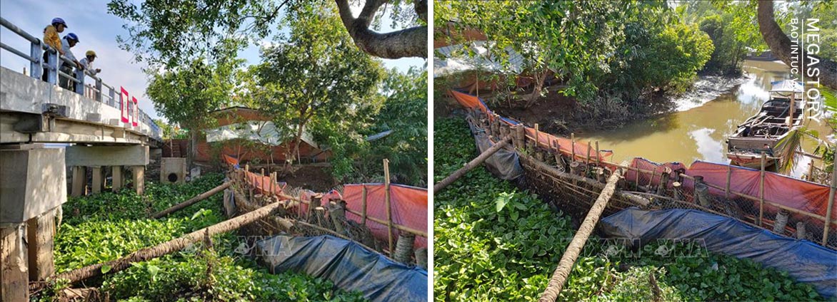 Trước ảnh hưởng của hạn kéo dài và mặn xâm nhập sâu, thời gian qua, người dân huyện Chợ Lách (Bến Tre) đã chủ động phối hợp cùng chính quyền địa phương đắp đập tạm để ngăn mặn cứu cây trồng.